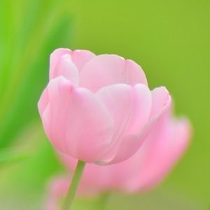 Meet your Posher, Judith